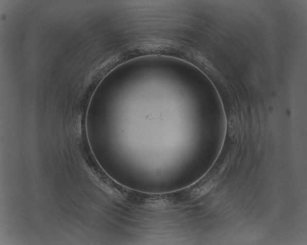 X0000070860454200606231257