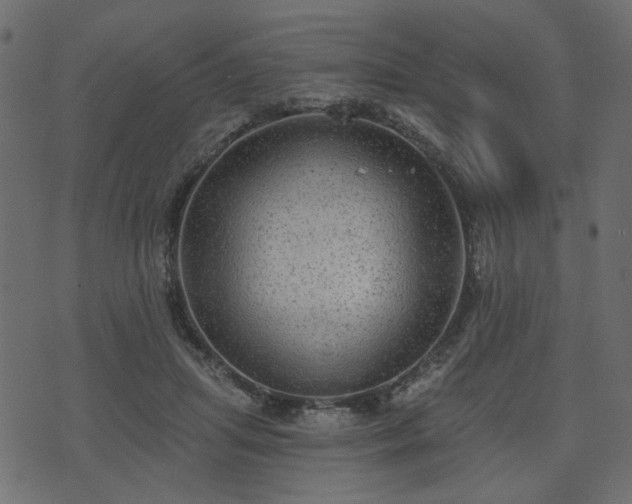 X0000070860455200606231257