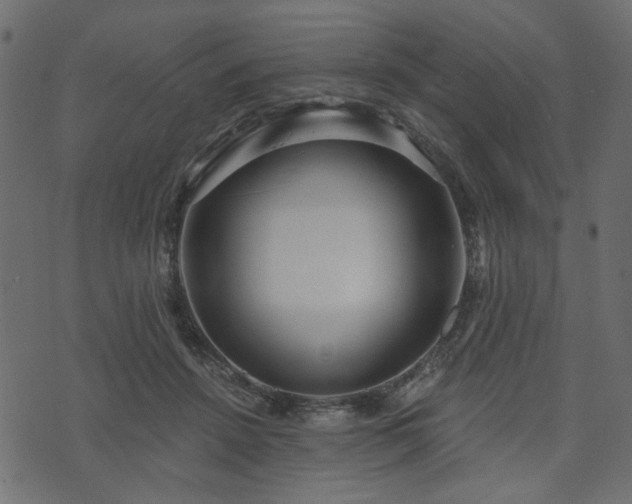 X0000070860456200606231257