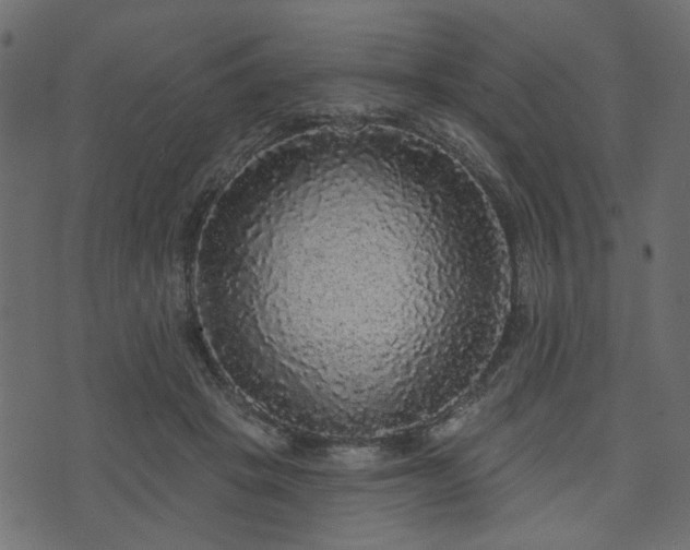 X0000070860457200606231257