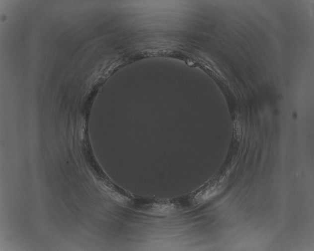 X0000070860458200606231257