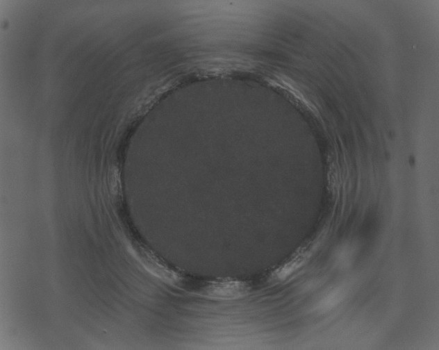 X0000070860459200606231257