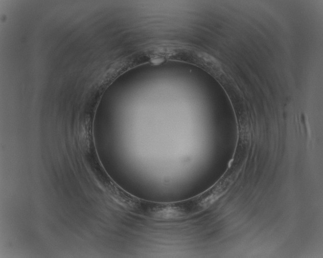 X0000070860460200606231257