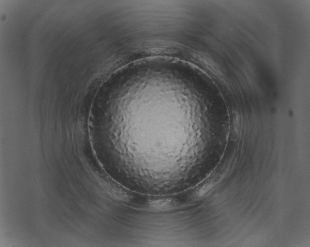 X0000070860461200606231257