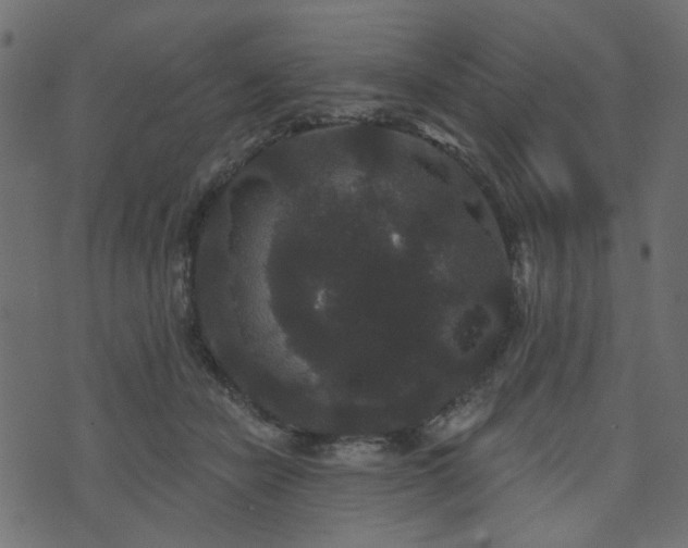 X0000070860462200606231257