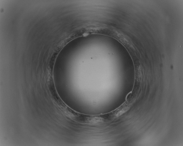 X0000070860463200606231257