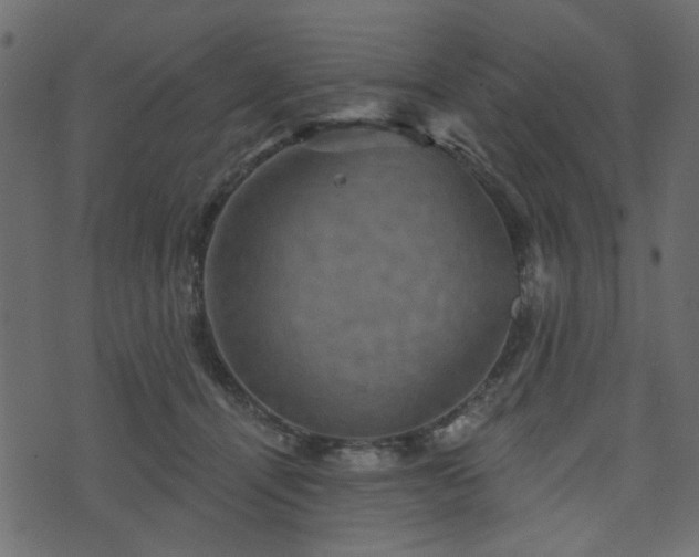 X0000070860464200606231257