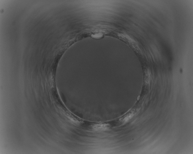 X0000070860465200606231257