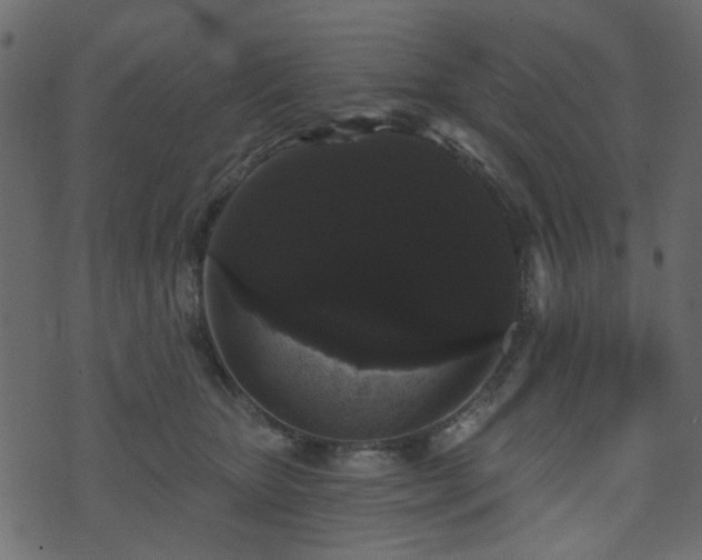 X0000070860467200606231257