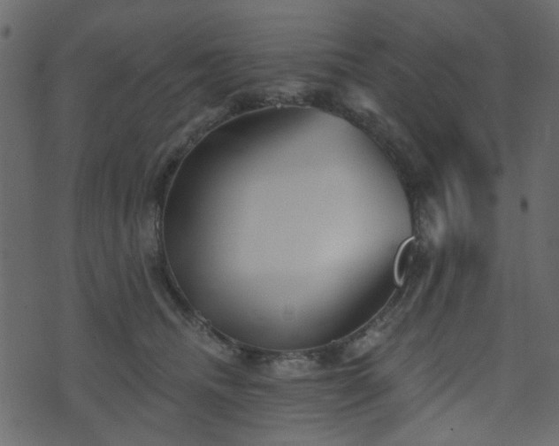 X0000070860468200606231257