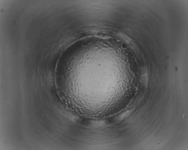 X0000070860469200606231257