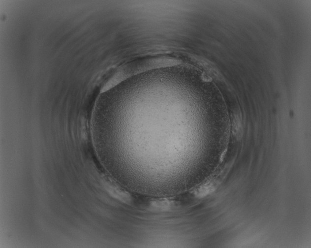 X0000070860470200606231257