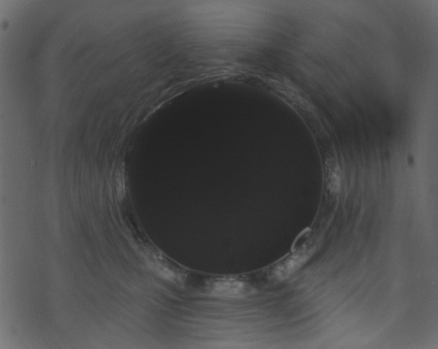 X0000070860471200606231257