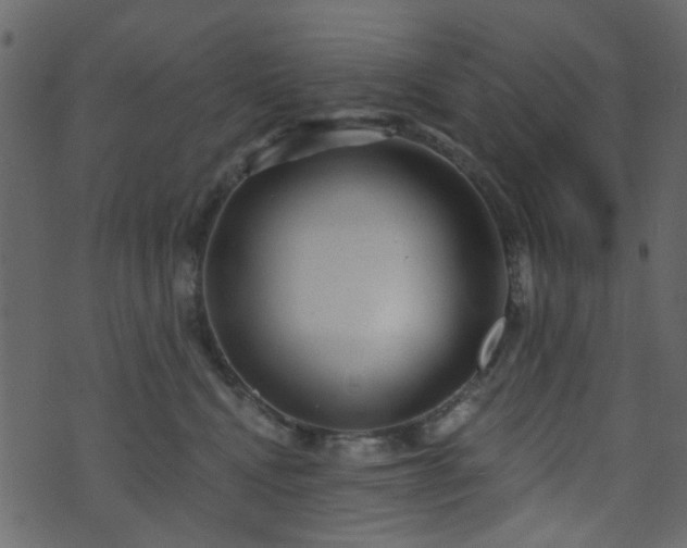 X0000070860472200606231257