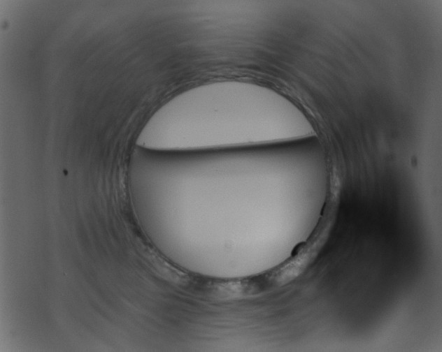 X0000070860473200606231257