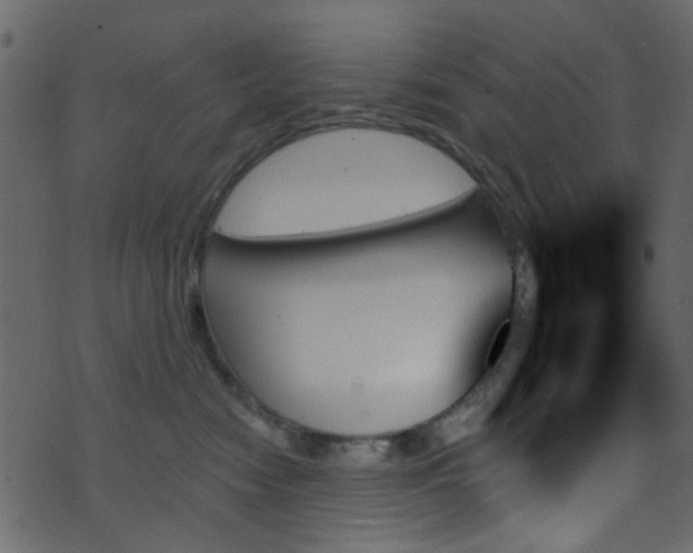 X0000070860474200606231257