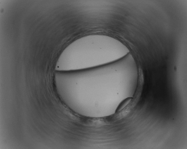 X0000070860475200606231257