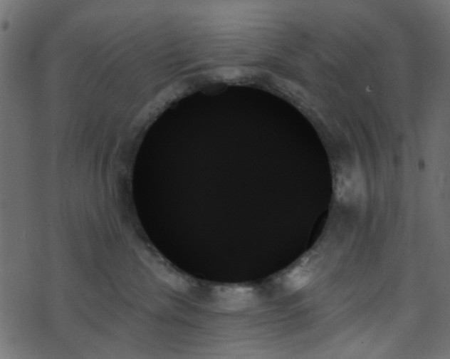 X0000070860476200606231257