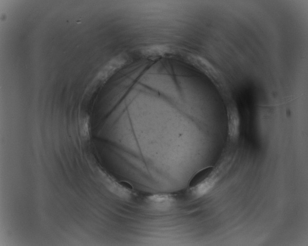 X0000070860477200606231257