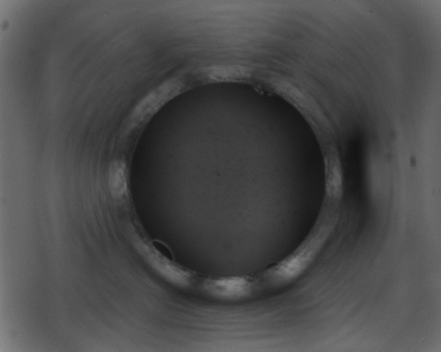 X0000070860478200606231257