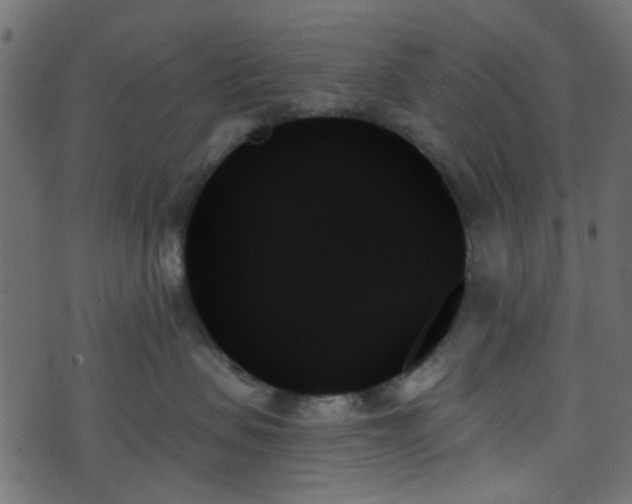 X0000070860479200606231257