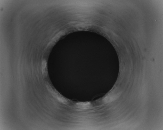 X0000070860480200606231257