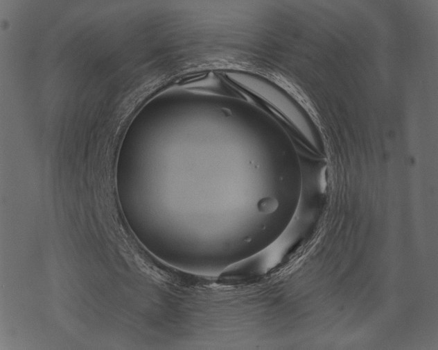 X0000070860481200606231257