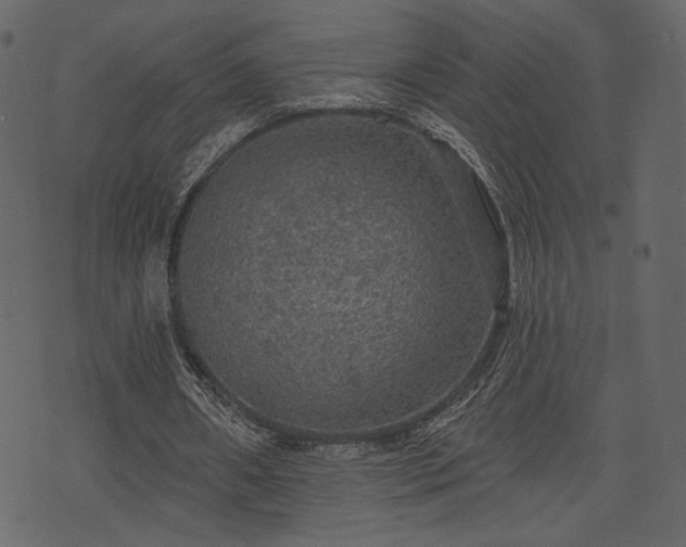 X0000070860482200606231257