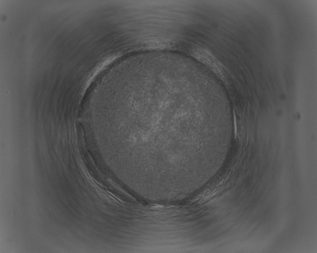 X0000070860483200606231256