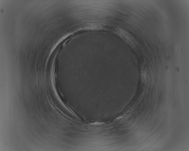 X0000070860484200606231256