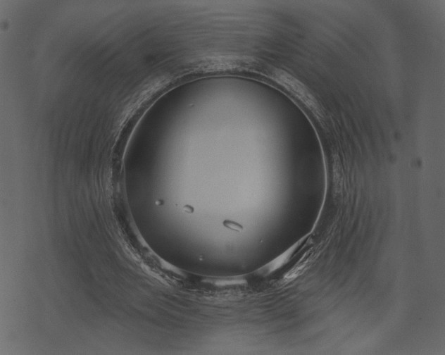 X0000070860485200606231256