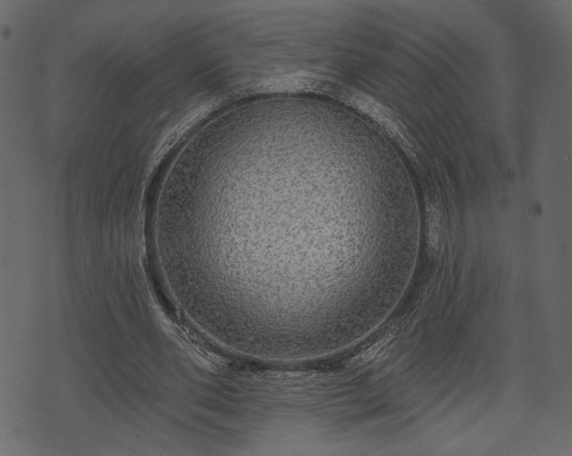 X0000070860486200606231256