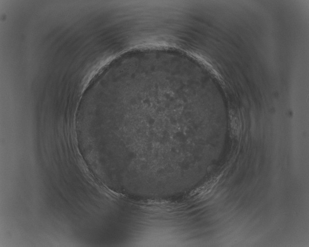 X0000070860487200606231256