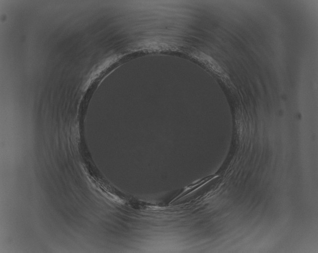 X0000070860488200606231256