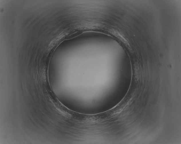 X0000070860489200606231256