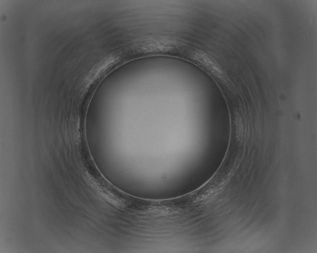 X0000070860490200606231256