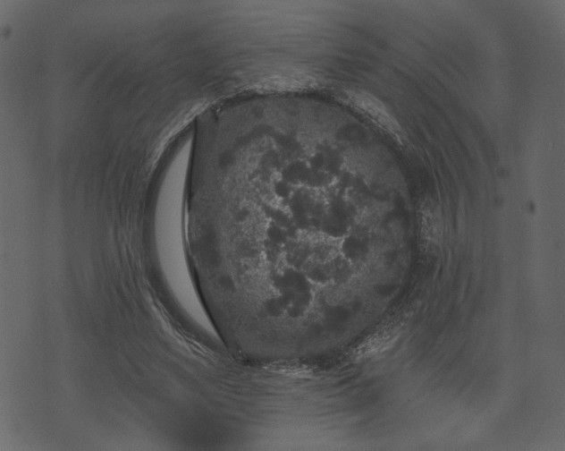 X0000070860491200606231256