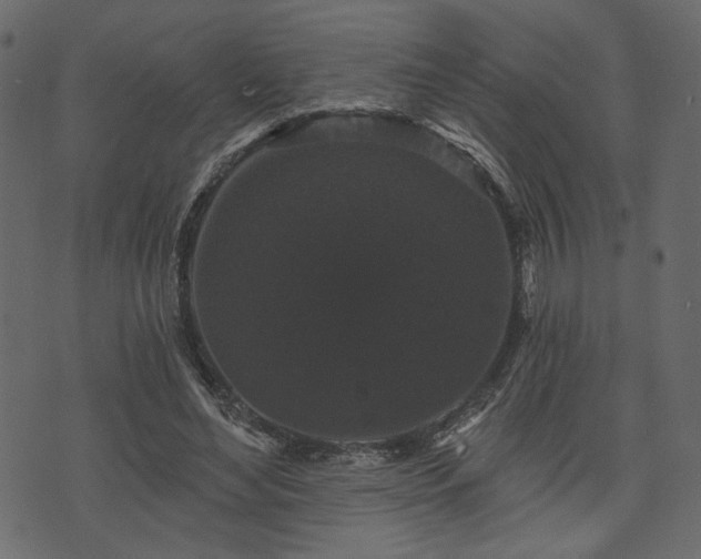 X0000070860492200606231256