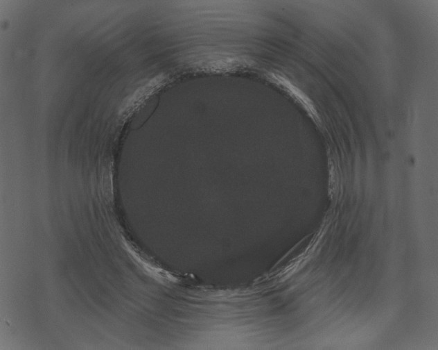 X0000070860493200606231256