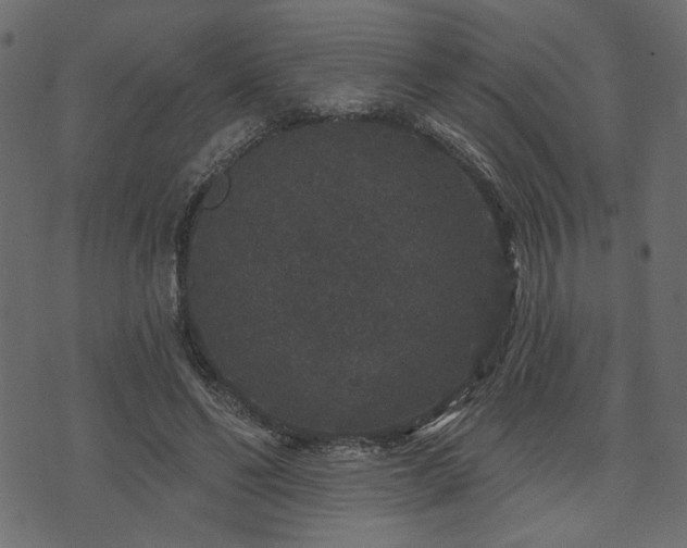 X0000070860494200606231256