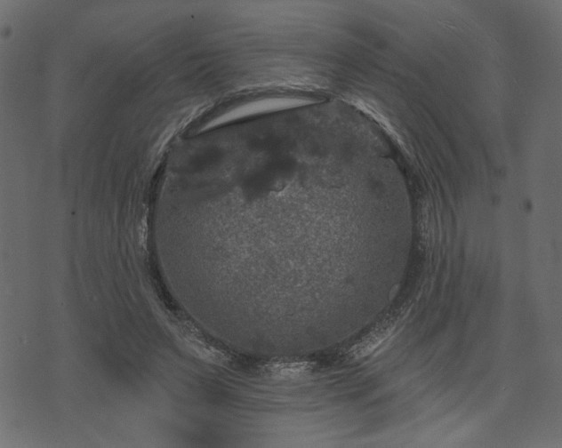 X0000070860495200606231256