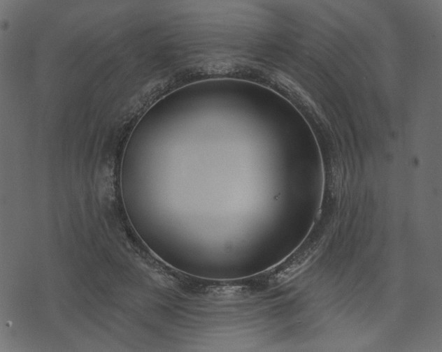 X0000070860497200606231256