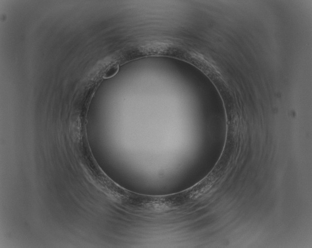 X0000070860498200606231256