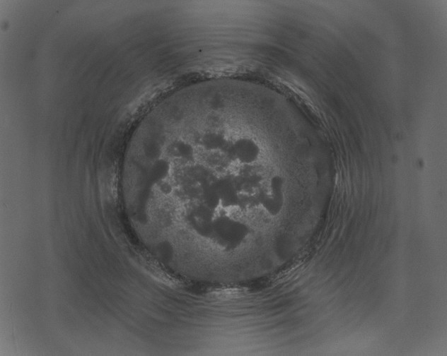 X0000070860499200606231256