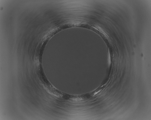 X0000070860500200606231256