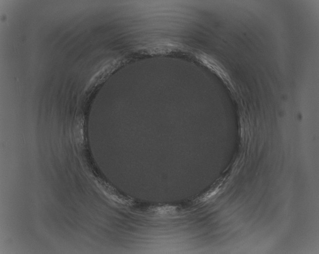 X0000070860501200606231256