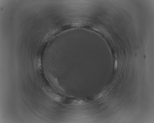 X0000070860502200606231256