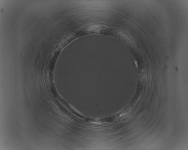 X0000070860504200606231256