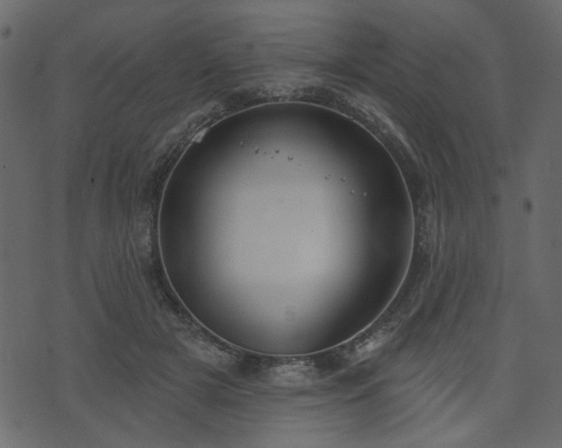 X0000070860505200606231256