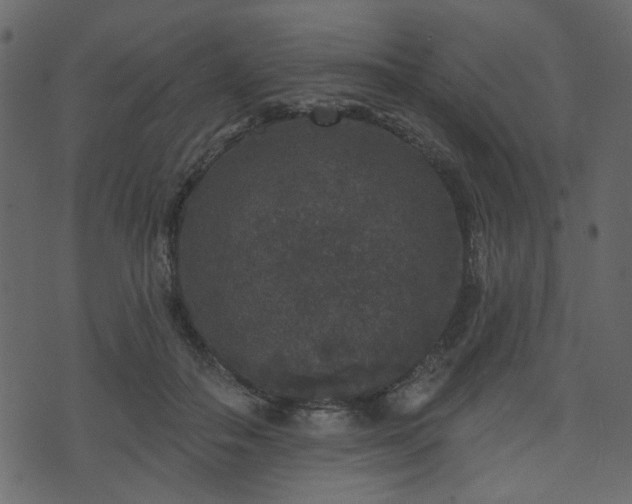 X0000070860506200606231256